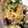 パケちゃん's cooksnap of when they made お手軽！すき焼き風つゆだく牛肉のしぐれ煮.