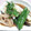 mt_eiko's cooksnap of when they made なすの素揚げみぞれ添え.
