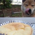 ふとっちょふーちゃん's cooksnap of when they made ヨーグルトレモンメレンゲクリーム☆２種.