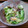 きのことぶたちゃん's cooksnap of when they made あさりとキャベツの酒蒸し♪.