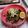 まいちー☆★'s cooksnap of when they made 家で作る美味しい豚丼.