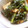 のじまさん's cooksnap of when they made ほうれん草の卵炒り♪.