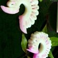 ささなさ's cooksnap of when they made 飾り切り＊孔雀かまぼこ.