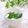 Satoco❋'s cooksnap of when they made 卵白消費☆ワカメと小ねぎのスープ♪.