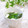 Satoco❋'s cooksnap of when they made 卵白消費☆ワカメと小ねぎのスープ♪.