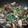 ☆サラダボーイ☆'s cooksnap of when they made あさりの酒蒸し.
