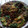 りぃー２４'s cooksnap of when they made にら納豆たまごとじ☆.