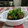 ぽっぽぺぺ's cooksnap of when they made なすの揚げびたし.