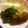 ひぃたんです's cooksnap of when they made ✿若筍と生わかめ＋干し椎茸の簡単煮物✿.