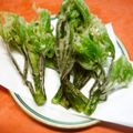Jock's cooksnap of when they made 「山菜の女王」コシアブラ.