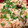 soutan222's cooksnap of when they made 大葉が香る＊鮭としめじの炊き込みご飯.