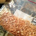 きゃさー's cooksnap of when they made なんて美味しい！えのき茸の干物！.