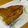 たよたひママ's cooksnap of when they made 鯖の生姜醤油焼き.