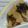 おねんどお母さん's cooksnap of when they made たけのことわかめの味噌煮.
