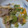 たいちゃんまま722's cooksnap of when they made 早旨っ☀✿豚肉とキャベツ炒めの❀卵とじ✿.