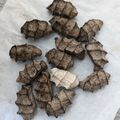 おかって菜園's cooksnap of when they made 手作りかたくり粉　夏休み自由研究にも.
