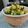 ぽっぽぺぺ's cooksnap of when they made 春菊とコーンのバター炒め♪アジア風味♪.
