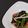 WOODs´'s cooksnap of when they made もやしと旬の野菜で酢の物.