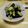 107yoko's cooksnap of when they made きゅうりだけ～塩昆布和え.
