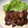 kyonmi's cooksnap of when they made 鶏もも肉の照り焼き簡単Ver..