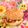 みなみんくっきんぐ's cooksnap of when they made ブレックファーストバーガー.
