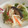 きらり流れ星's cooksnap of when they made ｼｬｷ２やみつき♪おつまみ野菜炒め♪.
