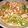 お魚キッチン's cooksnap of when they made たっぷりネギの焼きうどん.