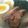 かなじる's cooksnap of when they made 塩ラーメンのスープ.
