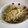 ｹﾟｰｺ's cooksnap of when they made ごぼうとセロリのはりはり♪サラダ.