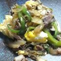 WenWang's cooksnap of when they made 新玉ねぎと卵の炒め.