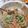 純ちゃんは奉仕作業員's cooksnap of when they made もやしと人参ときゅうりのゴママヨ和え.
