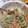 純ちゃんは奉仕作業員's cooksnap of when they made もやしと人参ときゅうりのゴママヨ和え.