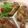 まゆとは☆からす's cooksnap of when they made 鶏手羽元のレモン風味焼き.