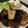 光美ママ's cooksnap of when they made 一押し★なすの挟み揚げ♪.