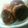 yuka424's cooksnap of when they made 簡単！しいたけの肉詰め.