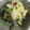はっぴーはりぼ's cooksnap of when they made 新玉ねぎとエノキの梅和え.