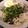 サクラメントの母's cooksnap of when they made ブラックカレーうどん.