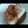 Hurry's cooksnap of when they made 韓国風〜♪あったかツナ豆腐.