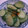 我が家でベーカリー's cooksnap of when they made きゅうりの炒め物.