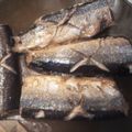 ゆうたんのママさん's cooksnap of when they made サンマの生姜煮.