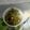 クックYKUNOU☆'s cooksnap of when they made ごま油香る　オクラのごま和え.