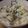 みゆきどん's cooksnap of when they made グリーンピースと豚そぼろの炊き込みご飯♪.