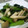 maruru-nn's cooksnap of when they made バターたっぷり☆ほうれん草＆しめじ炒め♪.