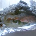 linderyley's cooksnap of when they made つつんで焼くだけ★鮭と野菜のホイル焼き.