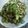 ★あぽろ☆'s cooksnap of when they made なすとツナのさっぱり和え.