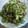 ★あぽろ☆'s cooksnap of when they made なすとツナのさっぱり和え.