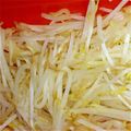 CREA0908's cooksnap of when they made ストック用・電子レンジで蒸しもやし。.