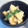 komoままさん's cooksnap of when they made たけのこの木の芽和え★.