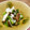 Haru Haru's cooksnap of when they made ほうれん草と焼ききのこのお浸し.