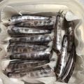 こつゆ514's cooksnap of when they made 子供もパクパク！メヒカリの下処理法.